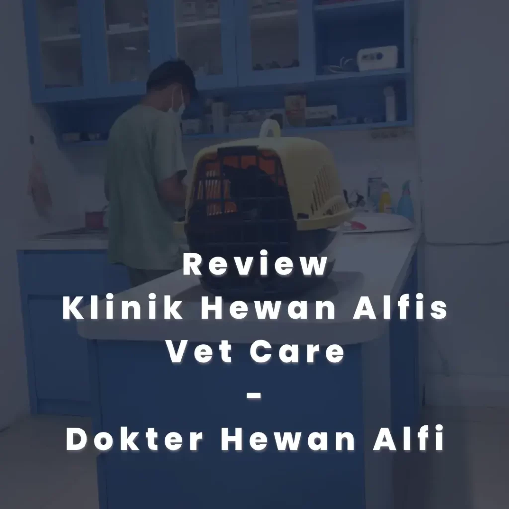 Review Dokter Hewan Alfi - Klinik Hewan Alfis Vet Care 1 Review Klinik Hewan Alfis Vet Care Dokter Hewan Alfi