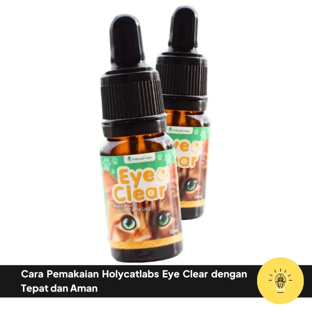 Cara Pemakaian Holycatlabs Eye Clear dengan Tepat dan Aman 1 Cara Pemakaian Holycatlabs Eye Clear dengan Tepat dan Aman