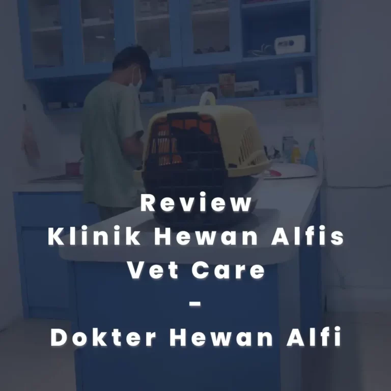 Review Klinik Hewan Alfis Vet Care Dokter Hewan Alfi