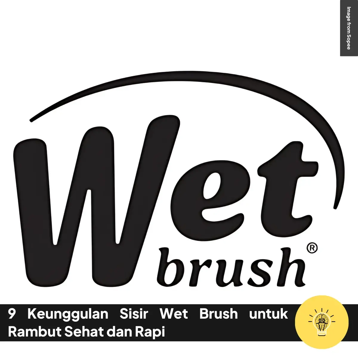 Keunggulan Sisir Wet Brush untuk Rambut Sehat dan Rapi
