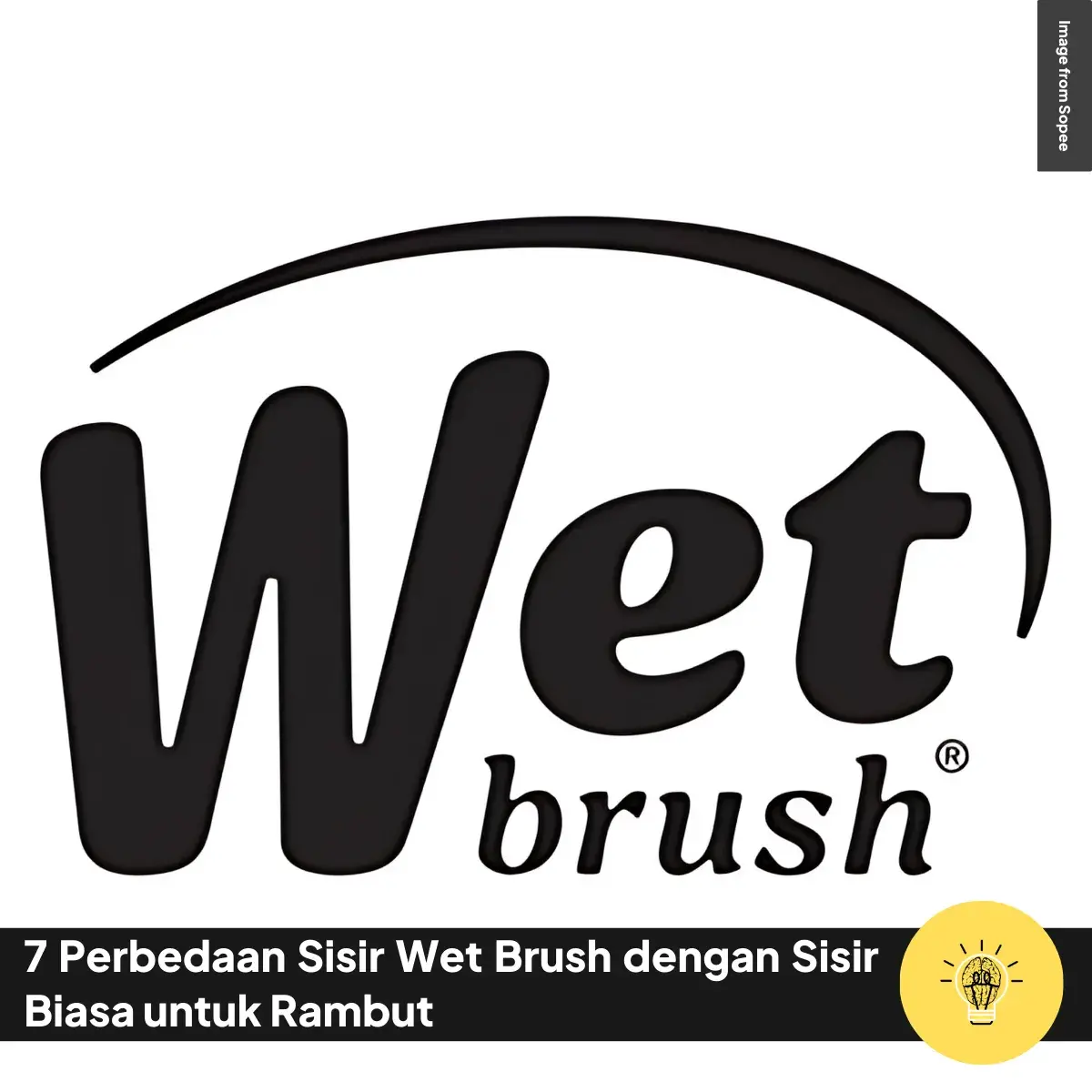 Perbedaan Sisir Wet Brush dengan Sisir Biasa untuk Rambut