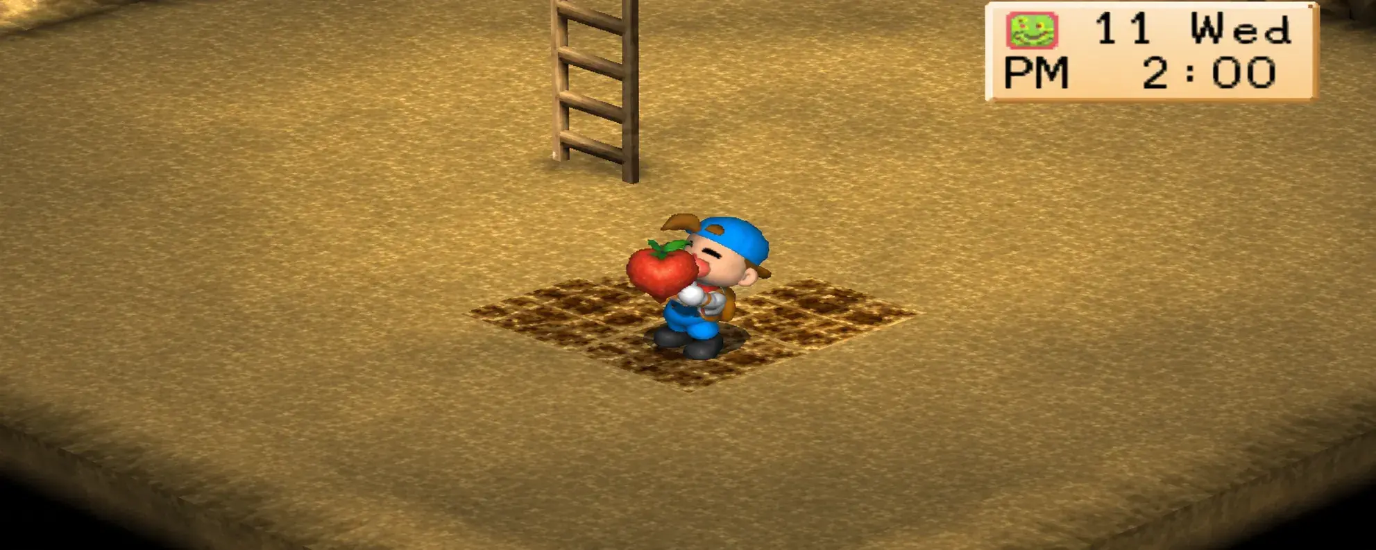 Power Berry di Harvest Moon Back To Nature
